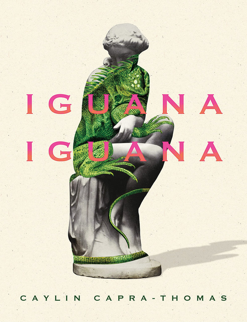 Iguana Iguana;  Caylin Capra-Thomas